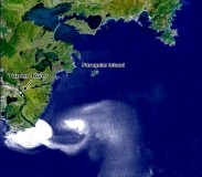 WhatsApp-Image-2025-11-18-at-08.28.17